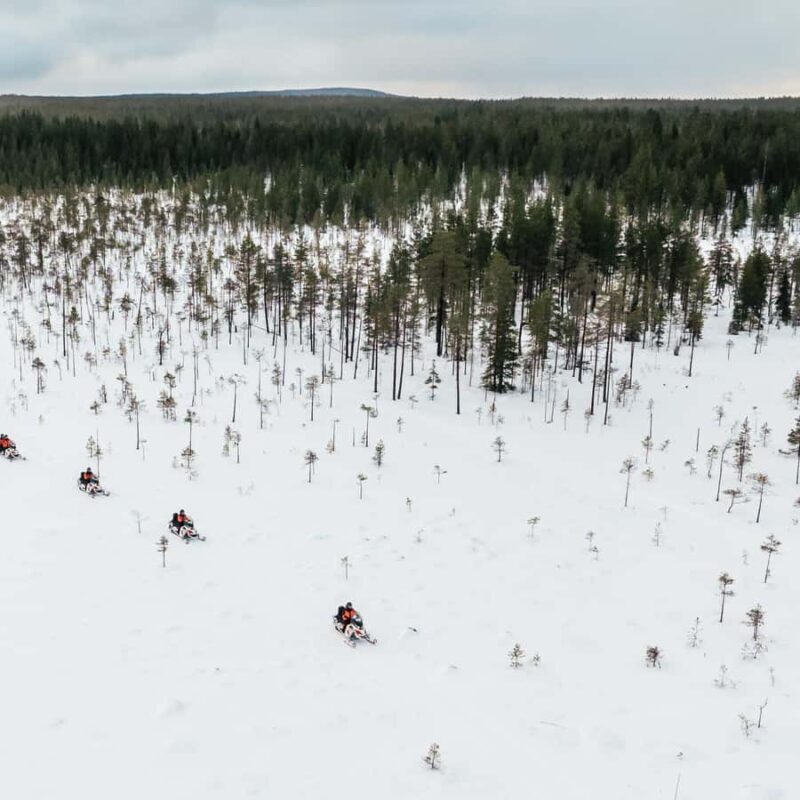 Rovaniemi: 3h Electric Snowmobile Safari at Reindeer Farm - What You Can Expect from the Tour