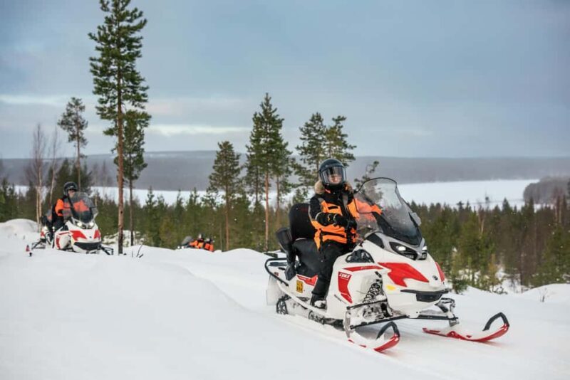 Rovaniemi: 4h Electric Snowmobile Safari at Reindeer Farm - Rovaniemi: 4h Electric Snowmobile Safari at Reindeer Farm