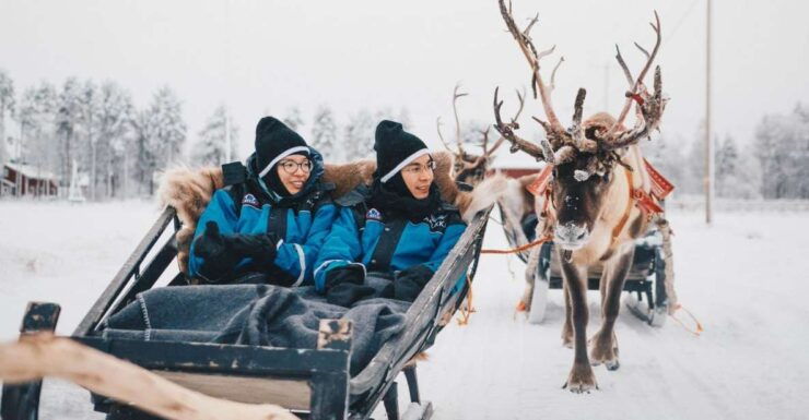 Rovaniemi: Apukka Reindeer Journey - Booking Information
