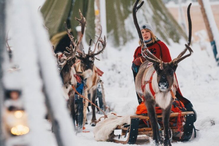 Rovaniemi: Apukka Reindeer Sleigh Safari at Night - Experience Highlights