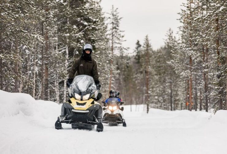Rovaniemi: Arctic Circle Family-Friendly Snowmobile Tour - Experience Highlights