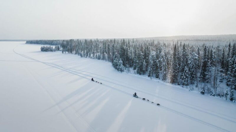 Rovaniemi: Arctic Circle Long Trail Husky Adventure - Good To Know