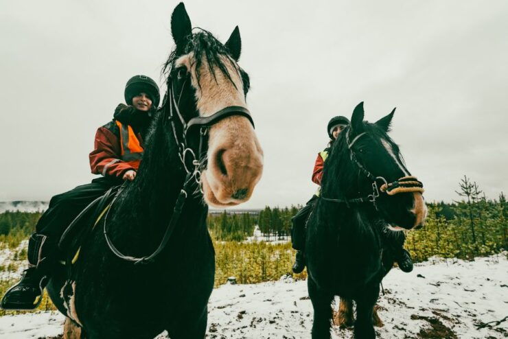 Rovaniemi: Arctic Horse Riding Experience - Activity Details