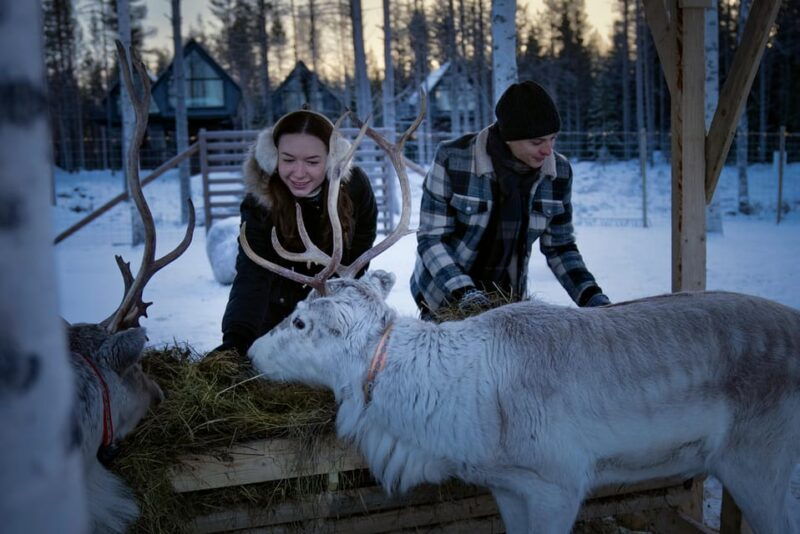 Rovaniemi: Arctic Reindeer Experience with Lunch - Good To Know