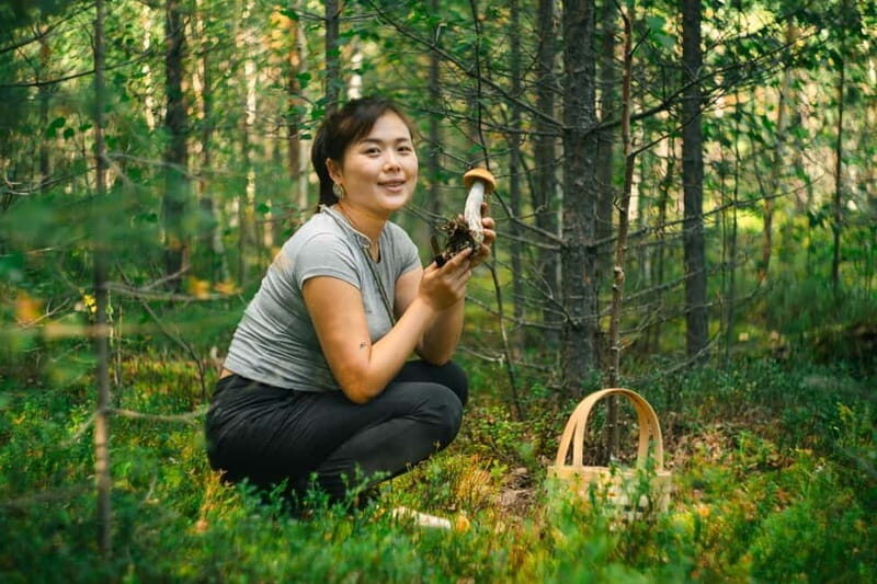 Rovaniemi: Arctic Wild Berry & Mushroom Foraging and Tasting - The Tasting and Snacking Experience