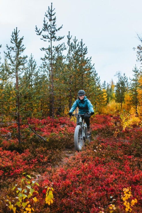 Rovaniemi: Arctic Wilderness & Forests Guided E-Bike Tour - Booking Information
