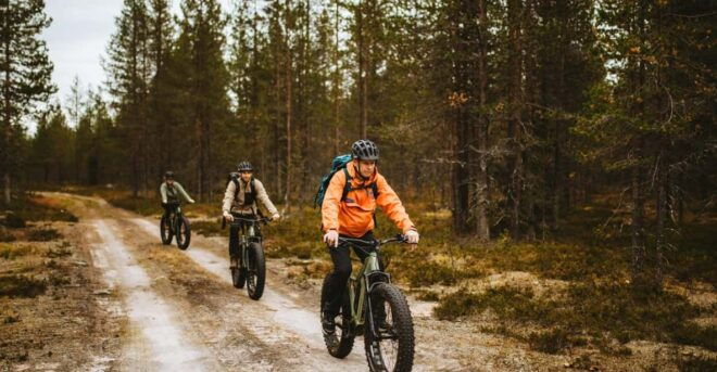 Rovaniemi: Arctic Wilderness & Forests Guided E-Bike Tour - Inclusions