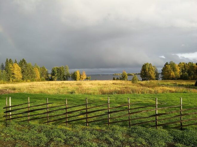 Rovaniemi: Arctic Wilderness & Forests Guided E-Bike Tour - Participant Requirements