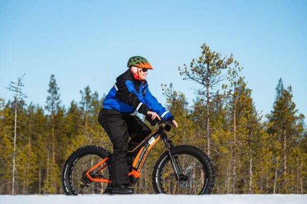 Rovaniemi: Arctic Wilderness & Forests Guided E-Bike Tour - Weather Considerations