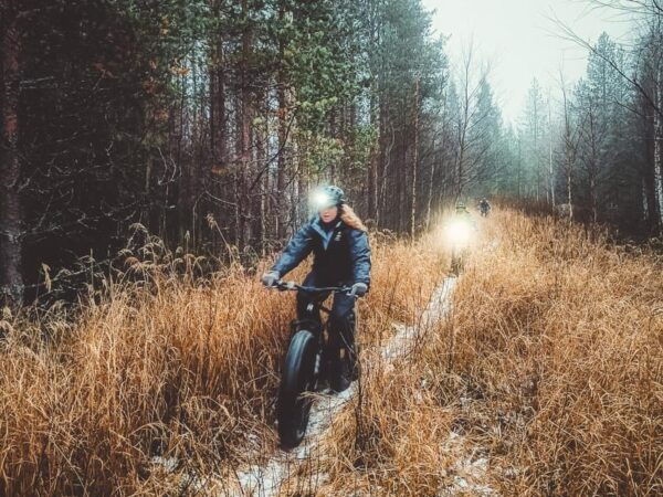 Rovaniemi: Arctic Wilderness & Forests Guided E-Bike Tour - Frequently Asked Questions