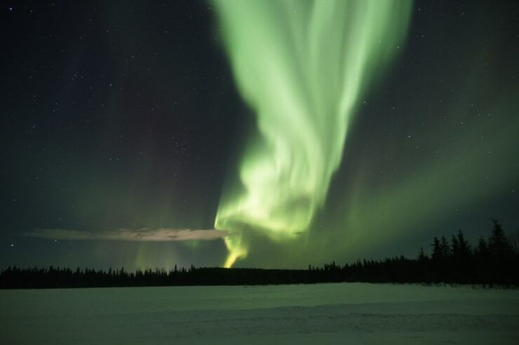 Rovaniemi: Aurora Borealis and Picnic - Booking and Flexibility Details