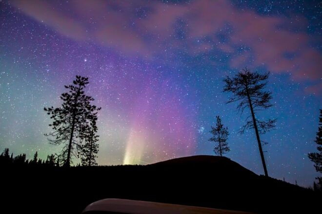 Rovaniemi: Aurora Borealis Autumn Picnic - Customer Experiences and Reviews