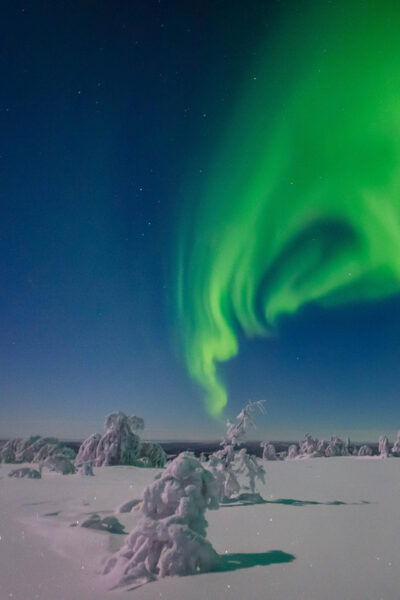 Rovaniemi: Aurora Guarantee Photography Tour (Small Group) - Photography Opportunities