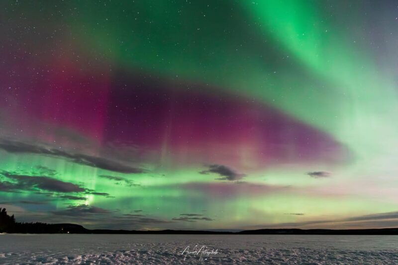 Rovaniemi: Aurora Hunting & Photography Tour - Good To Know