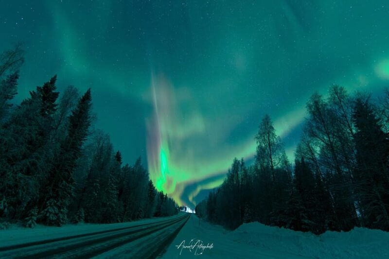Rovaniemi: Aurora Hunting & Photography Tour - FAQ