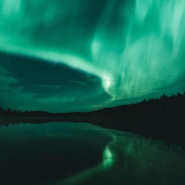 Rovaniemi: Aurora Hunting Photography Tour with Barbeque - Who Will Love This Tour?