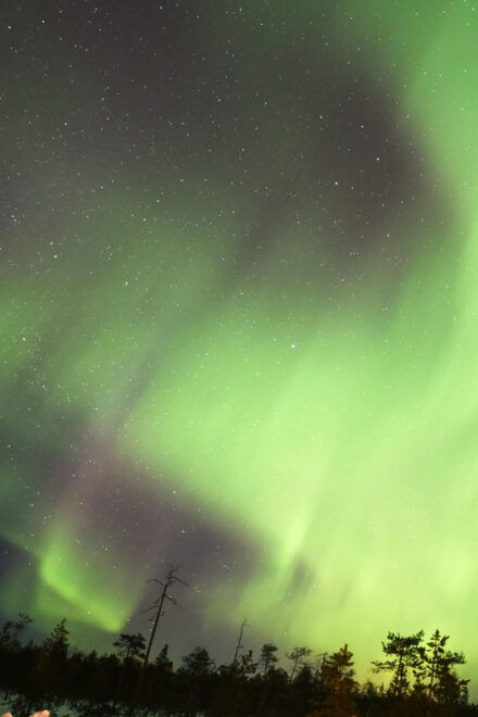 Rovaniemi: Aurora Hunting Tour - Itinerary Breakdown