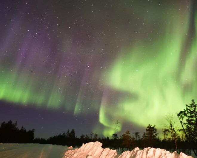 Rovaniemi: Aurora Hunting Tour - Included Amenities