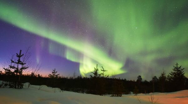Rovaniemi: Aurora Hunting Tour - Important Considerations