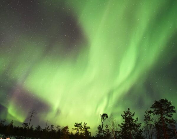 Rovaniemi: Aurora Hunting Tour - Booking Information