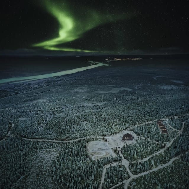 Rovaniemi: Aurora Hunting Tour in the Forest with Hot Drinks - What to Expect on the Aurora Hunting Tour