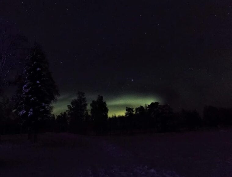 Rovaniemi: Aurora Hunting Tour in the Forest with Hot Drinks - The Magic of the Night in the Forest