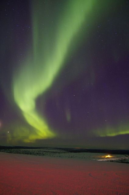 Rovaniemi: Aurora Hunting Tour with Photography by Van - Final Thoughts
