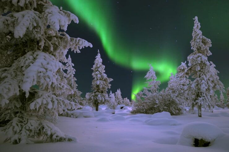 Rovaniemi: Aurora Hunting With Snowmobile - Highlights of the Experience
