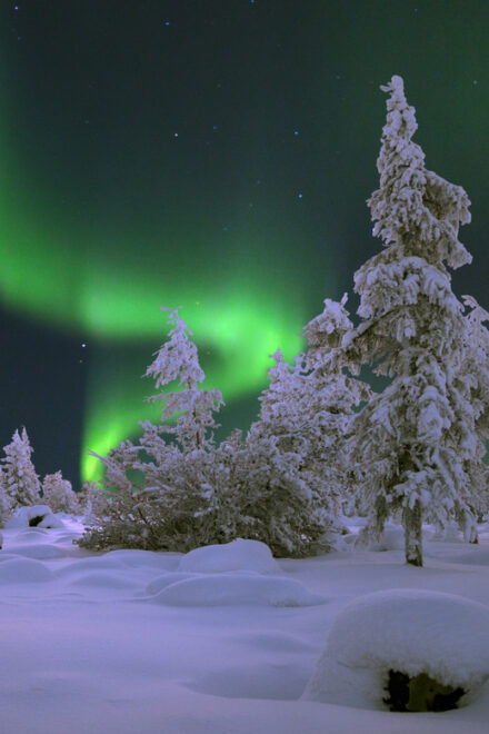 Rovaniemi: Aurora Hunting With Snowmobile - Safety Measures and Equipment