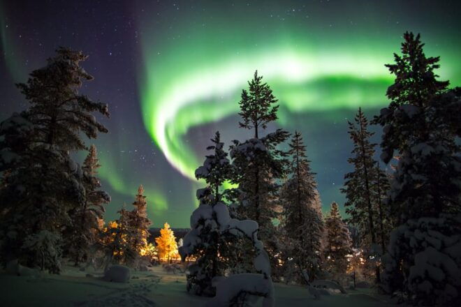 Rovaniemi: Aurora Hunting With Snowmobile - What to Expect During the Tour