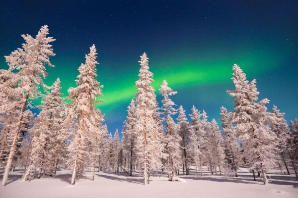 Rovaniemi: Aurora Hunting With Snowmobile - Tips for an Enjoyable Experience