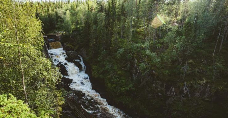 Rovaniemi: Auttiköngäs Waterfalls Hike Tour & Barbeque - Highlights of the Experience