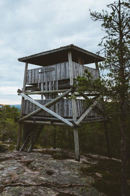 Rovaniemi: Auttiköngäs Waterfalls Hike Tour & Barbeque - Guided Journey Insights