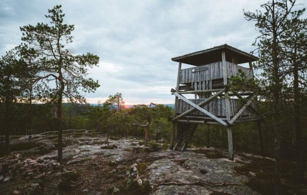 Rovaniemi: Auttiköngäs Waterfalls Hike Tour & Barbeque - Booking and Cancellation Policy