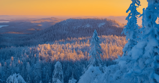 Rovaniemi: Auttiköngäs Winter Wilderness Hike & BBQ - Inclusions and Amenities