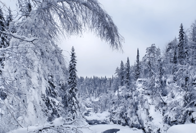 Rovaniemi: Auttiköngäs Winter Wilderness Hike & BBQ - Important Information