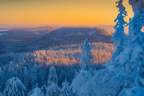 Rovaniemi: Auttiköngäs Winter Wilderness Hike & BBQ - Local Attractions