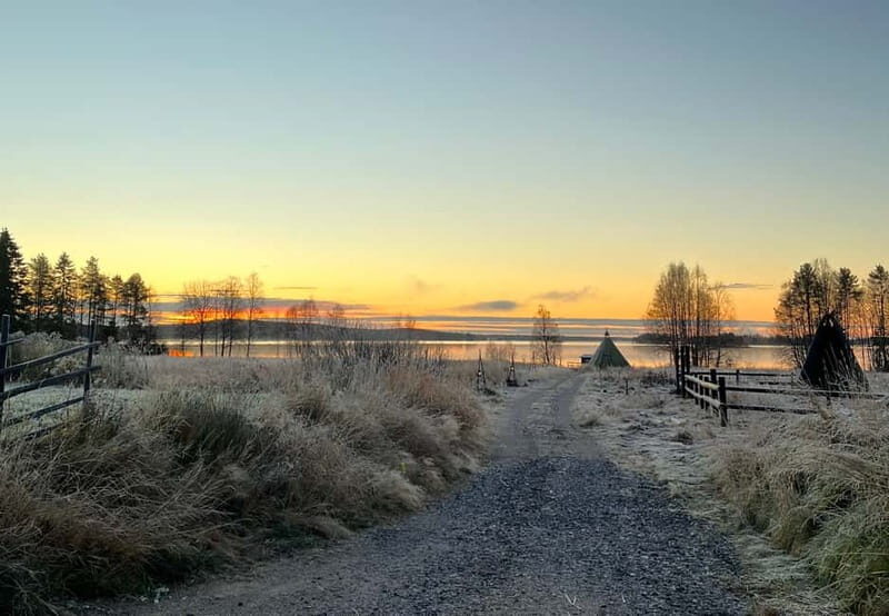 Rovaniemi: Autumn Husky Ride on Wheels - Good To Know