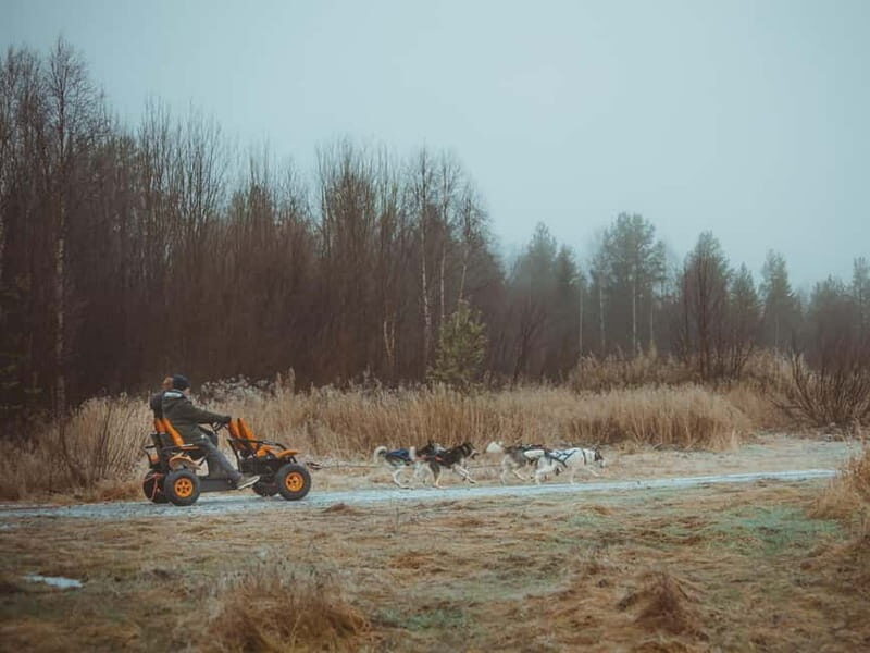 Rovaniemi: Autumn Husky Ride on Wheels - Who Should Consider This Tour?