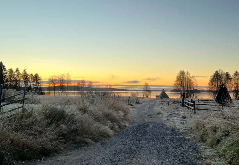 Rovaniemi: Autumn Husky Ride on Wheels - Introduction