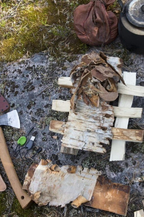 Rovaniemi: Autumn-Summer Arctic Survival Tour - Good To Know
