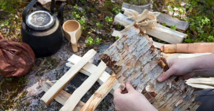 Rovaniemi: Autumn-Summer Arctic Survival Tour - Unique Survival Skills