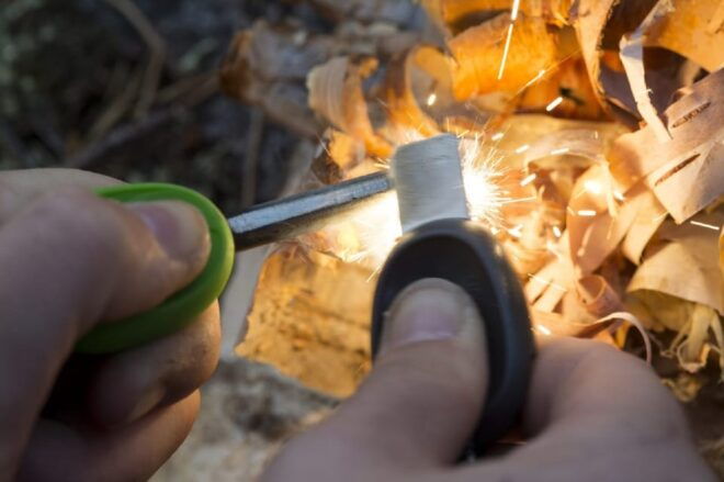 Rovaniemi: Autumn-Summer Arctic Survival Tour - Activities and Experiences