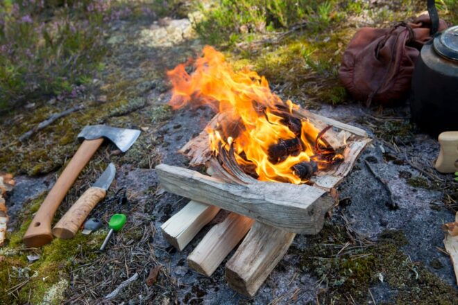 Rovaniemi: Autumn-Summer Arctic Survival Tour - Important Information