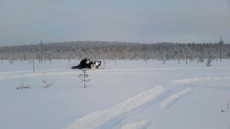 Rovaniemi: Backwoods Adventure Full Day Snowmobile Safari - The Sum Up