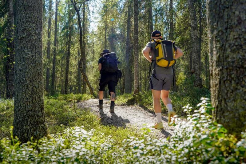 Rovaniemi: Berry and Mushroom Picking with Wilderness Guide - Culinary Delights in the Wilderness