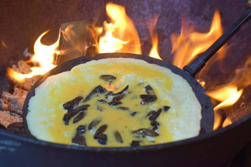 Rovaniemi: Berry and Mushroom Picking with Wilderness Guide - FAQ