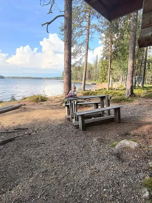 Rovaniemi: Berry Picking Tour with Traditional Laavu - Good To Know