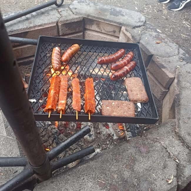 Rovaniemi: Berry Picking Tour with Traditional Laavu - The Value of the Rovaniemi Berry Picking Tour