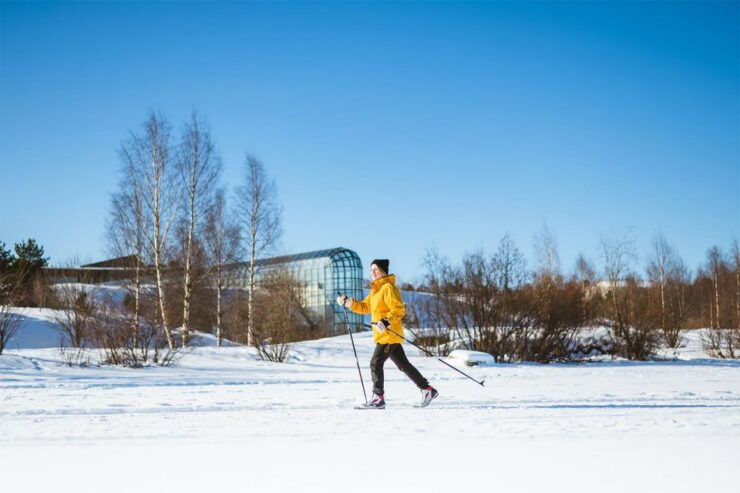 Rovaniemi: Cross Country Wilderness Ski Adventure - Overview of Rovaniemi Ski Adventure